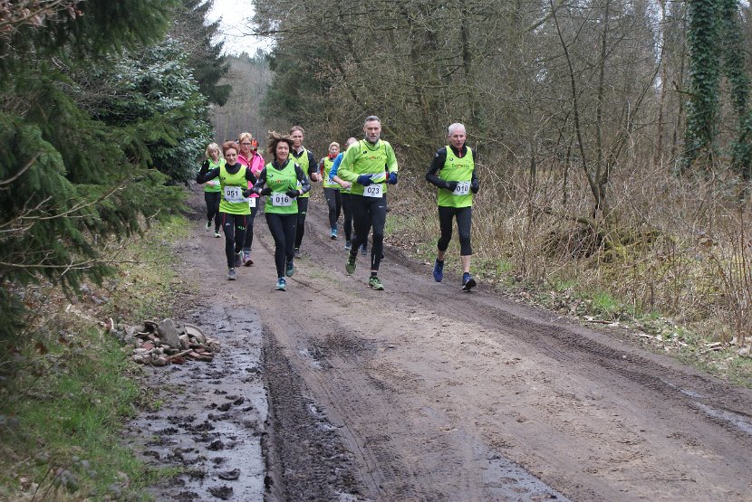 Bosloop Brecht - 24
